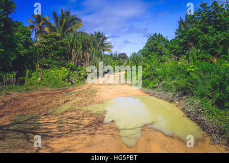 Sandy and muddy road through the Madagascar jungle Stock Photo