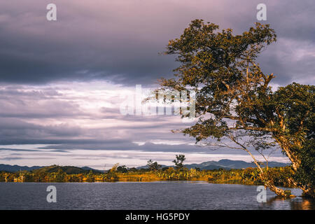 River delta in the northern part of Madagascar near Maroantsetra Stock Photo