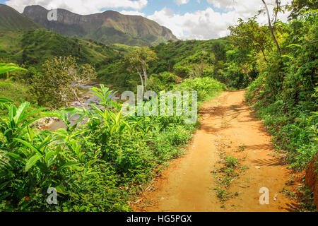 Path through dense madagascar rainforest near Masoala National Park Stock Photo