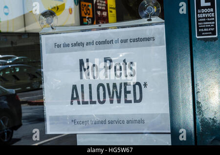 A no pets allowed sign at a store in San Leandro California USA Stock Photo