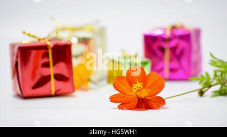 Close-Up Of Orange Flower With Gift Boxes Against White Background Stock Photo