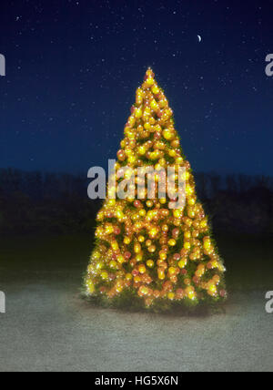 Christmas Tree. Stock Photo