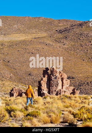 Bolivia, Potosi Departmant, Nor Lipez Province, Landscape of the Valle de las Rocas(Rocks Valley). Stock Photo