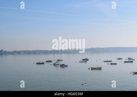 Anchored boats and swans on the river on the foggy sunny morning Stock Photo