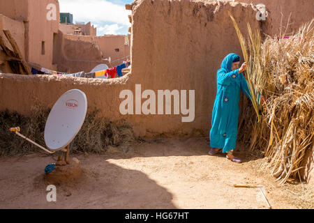 Ksar Elkhorbat, Morocco.  Amazigh Berber Woman Selecting Palm Fronds to Burn for Baking Bread, on Casbah Rooftop with Satellite Dish. Stock Photo