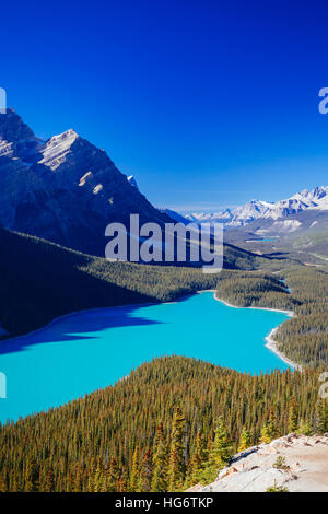 Peyto Lake is a glacier-fed lake located in Banff National Park in the Canadian Rockies. The lake itself is easily accessed from the Icefields Parkway Stock Photo