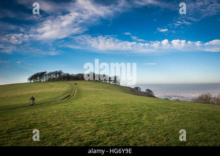 Chanctonbury Ring Iron Age hill fort on the South Downs near Worthing, West Sussex, UK Stock Photo