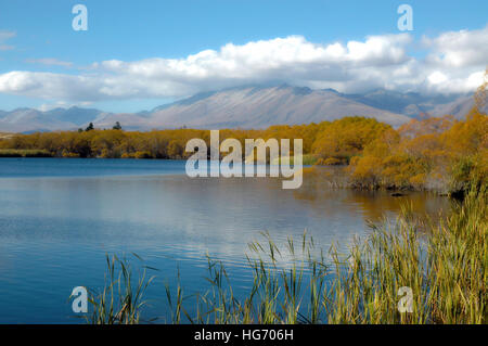 Long  grass in front of lake surrounded by autumn trees with softened blue cloudy sky. Stock Photo