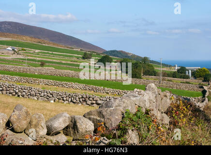 Dry stone walls in the Mourne Mountains in County Down typical of fields in the sheep farming regions of Ireland Stock Photo