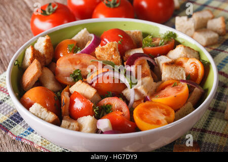 Fresh Italian panzanella salad in bowl close up. horizontal Stock Photo