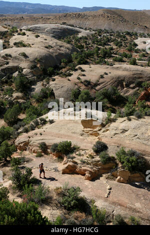 hiker on tilted rock layers Dinosaur National Monument Utah Stock Photo
