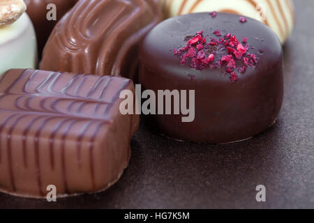 Gourmet bonbons, aka bon-bons or truffles made of milk chocolate. Closeup macro. Stock Photo