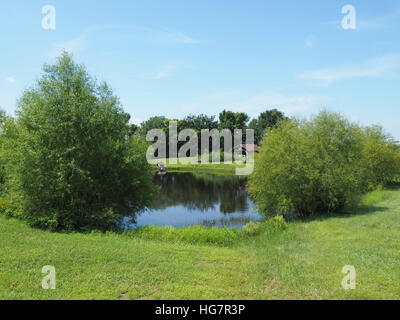 small pond in the country, surrounded by small trees.  By the pond is duck house and a covered pavillion. Stock Photo