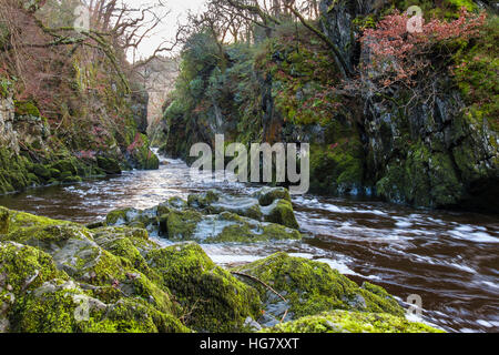 Looking upstream along Afon Conwy River flowing through narrow Fairy Glen gorge in Snowdonia National Park Betys-y-Coed Wales UK Stock Photo