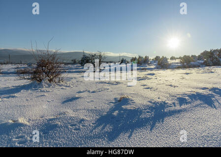 Bright sunny sunset in snowy field Stock Photo