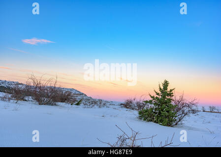 Colorful sunset in snowy field with juniper tree Stock Photo