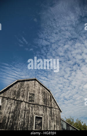 An abstract wide angle of a traditional old ontario gambrel roof barn, that was black and is weathered and the boards lit up by sunshine. Stock Photo