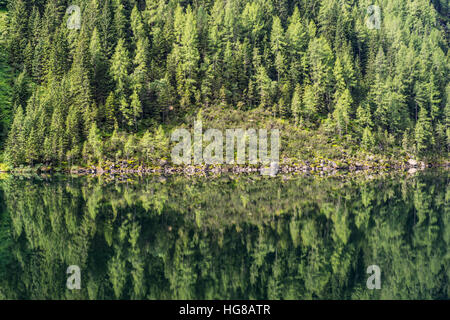 Forest reflected in Lake Riesachsee, Rohrmoos-Untertal, Schladming Tauern, Schladming, Styria, Austria Stock Photo