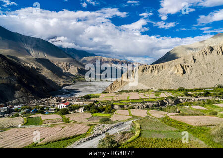 Aerial view, agricultural landscape of Kali Gandaki valley with barley fields and houses in village, Kagbeni, Mustang District Stock Photo