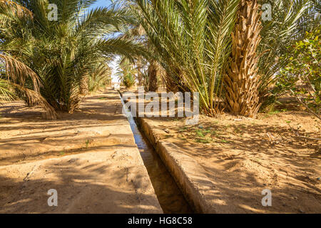 Simple and effective system of irrigation in the oasis of Merzouga, Morocco Stock Photo