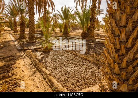 Simple and effective system of irrigation in the oasis of Merzouga, Morocco Stock Photo