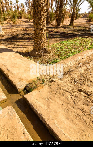 Simple and effective system of irrigation in the oasis of Merzouga, Morocco Stock Photo