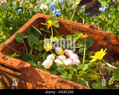 Candy Easter eggs in a plant pot nest Stock Photo