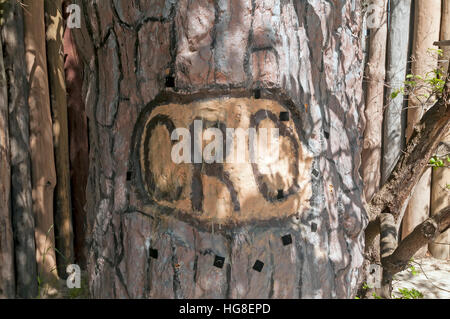 'Cro' Symbol cut into tree by Lost Colony at  Roanoke Island North Carolina Stock Photo