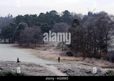 Dog walkers on a frosty Reigate Heath in Surrey, as temperatures across southern England again dropped below freezing. Stock Photo