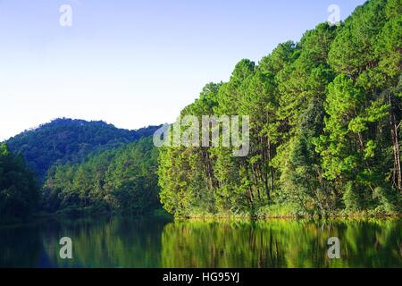 Reflection of pine trees in Pang Oung Lake (Pang Tong reservoir), Mae Hong Son , Thailand Stock Photo