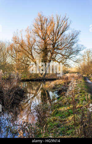 The River Eye in winter near the Cotswold village of Lower Slaughter, Gloucestershire UK Stock Photo