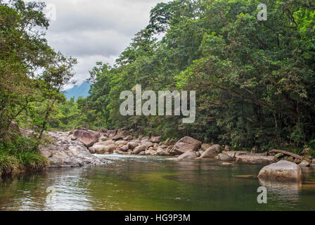 Mossman Gorge,Daintree National Park, Queensland, Australia Stock Photo