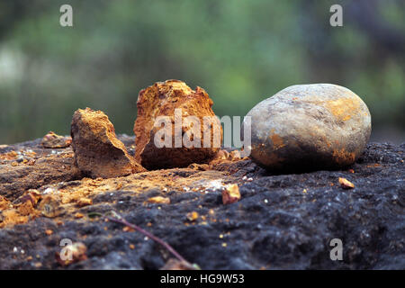 The fittest Stock Photo