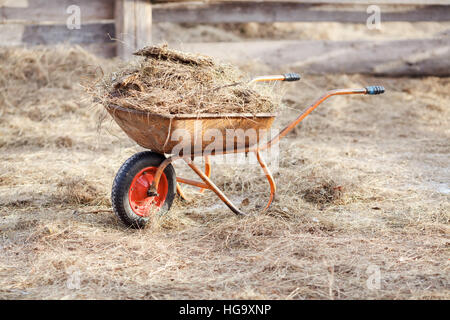 Wheelbarrow with manure and hay in the middle of the paddock Stock Photo