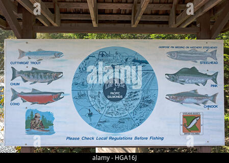 The Big Qualicum River Fish Hatchery on Vancouver Island BC, Canada