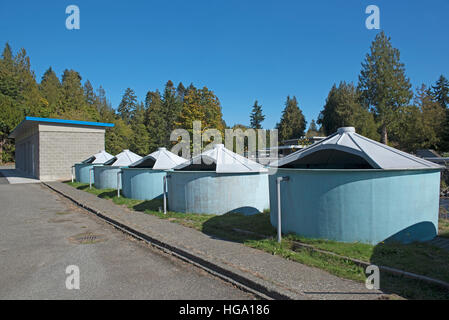 The Big Qualicum River Fish Hatchery on Vancouver Island BC, Canada. SCO 366. Stock Photo