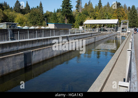 The Big Qualicum River Fish Hatchery on Vancouver Island BC, Canada