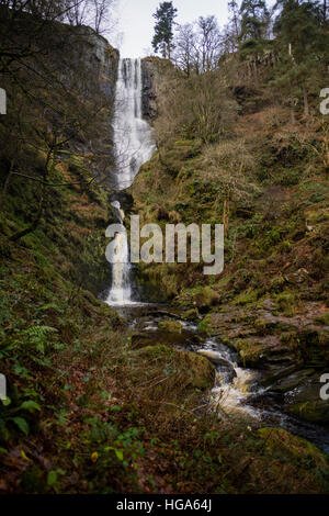 Natural phenomena in the UK: Pistyll Rheadr waterfall,  Llanrheadr ym Mochnant, Powys Wales UK Christmas Day, 25 December 2016 - often referred to as the tallest highest waterfall in England and Wales,  with the waters of the River Disgynfa falling over 73 m (240 foot) . One of the 'Seven Wonders of Wales ' and a Site of Special Scientific Interest (SSSI) Stock Photo