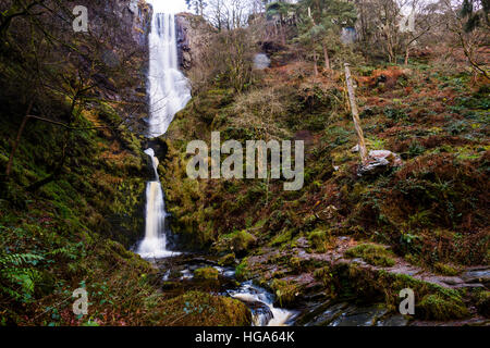 Natural phenomena in the UK: Pistyll Rheadr waterfall,  Llanrheadr ym Mochnant, Powys Wales UK Christmas Day, 25 December 2016 - often referred to as the tallest highest waterfall in England and Wales,  with the waters of the River Disgynfa falling over 73 m (240 foot) . One of the 'Seven Wonders of Wales ' and a Site of Special Scientific Interest (SSSI) Stock Photo
