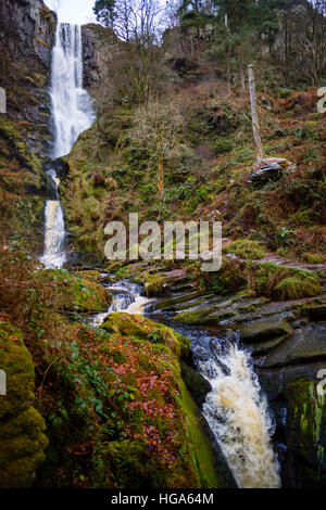 Natural phenomena in the UK: Pistyll Rheadr waterfall,  Llanrheadr ym Mochnant, Powys Wales UK Christmas Day, 25 December 2016 - often referred to as the tallest highest waterfall in England and Wales,  with the waters of the River Disgynfa falling over 73 m (240 foot) . One of the 'Seven Wonders of Wales ' and a Site of Special Scientific Interest (SSSI) Stock Photo