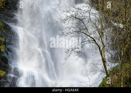 Natural phenomena in the UK: Pistyll Rheadr waterfall,  Llanrheadr ym Mochnant, Powys Wales UK Christmas Day, 25 December 2016 - often referred to as the tallest highest waterfall in England and Wales,  with the waters of the River Disgynfa falling over 73 m (240 foot) . One of the 'Seven Wonders of Wales ' and a Site of Special Scientific Interest (SSSI) Stock Photo