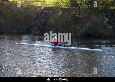 One mature male rower keeps fit by exercising in a single scull rowing boat on the River Ouse, York, North Yorkshire, England. Stock Photo