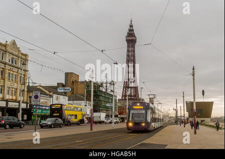 Blackpool tram travels along the Blackpool Promenade, Lancashire, UK with Blackpool Tower in the background with copy space. Stock Photo
