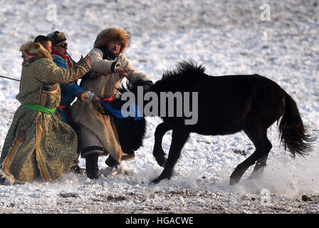 Xilinhot, China's Inner Mongolia Autonomous Region. 6th Jan, 2017. Herdsmen tame a horse in Xilinhot, north China's Inner Mongolia Autonomous Region, Jan. 6, 2017. © Ren Junchuan/Xinhua/Alamy Live News Stock Photo
