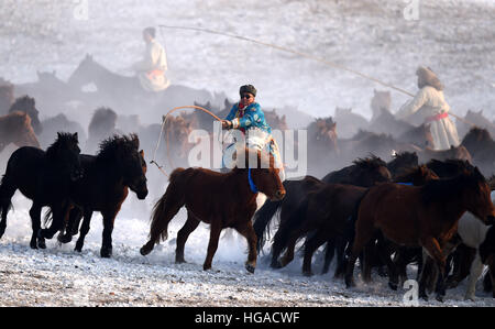 Xilinhot, China's Inner Mongolia Autonomous Region. 6th Jan, 2017. A Herdsman rides to lasso horses in Xilinhot, north China's Inner Mongolia Autonomous Region, Jan. 6, 2017. © Ren Junchuan/Xinhua/Alamy Live News Stock Photo