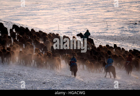 Xilinhot, China's Inner Mongolia Autonomous Region. 6th Jan, 2017. Herdsmen drive horses in Xilinhot, north China's Inner Mongolia Autonomous Region, Jan. 6, 2017. © Ren Junchuan/Xinhua/Alamy Live News Stock Photo