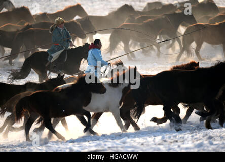 Xilinhot, China's Inner Mongolia Autonomous Region. 6th Jan, 2017. Herdsmen lasso horses in Xilinhot, north China's Inner Mongolia Autonomous Region, Jan. 6, 2017. © Ren Junchuan/Xinhua/Alamy Live News Stock Photo