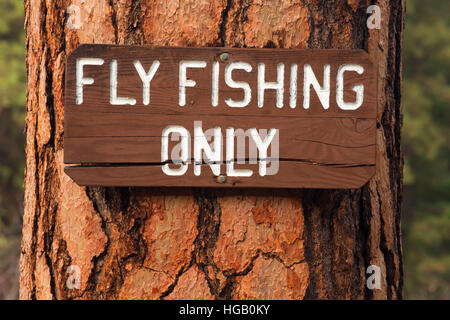 Fly fishing sign on Ponderosa pine (Pinus ponderosa), Metolius Wild and Scenic River, Deschutes National Forest, Oregon Stock Photo