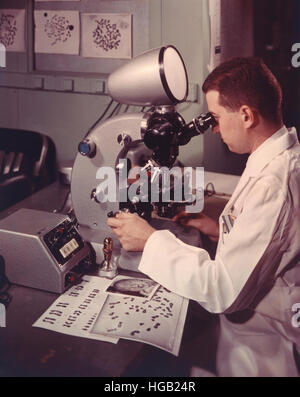 Laboratory research on chromosome studies in the 1960s. Stock Photo