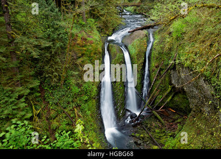 OR02201-00...OREGON - Triple Falls in the Columbia River Gorge National Scenic Area. Stock Photo